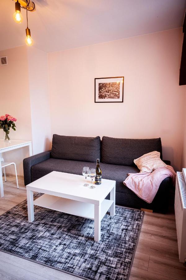 Just Smile Apartment Olsztyn  Exterior photo